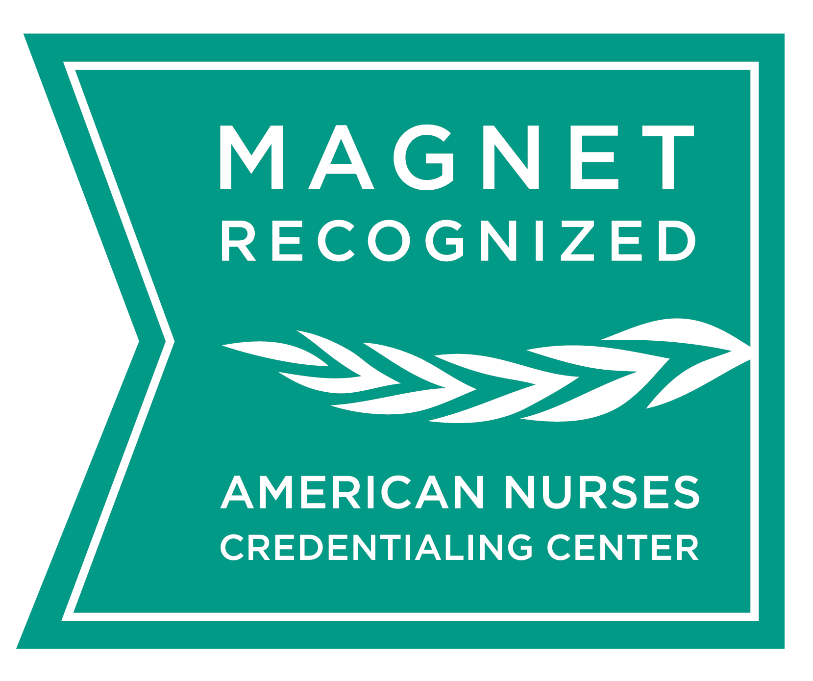 Magnet Recognition Logo